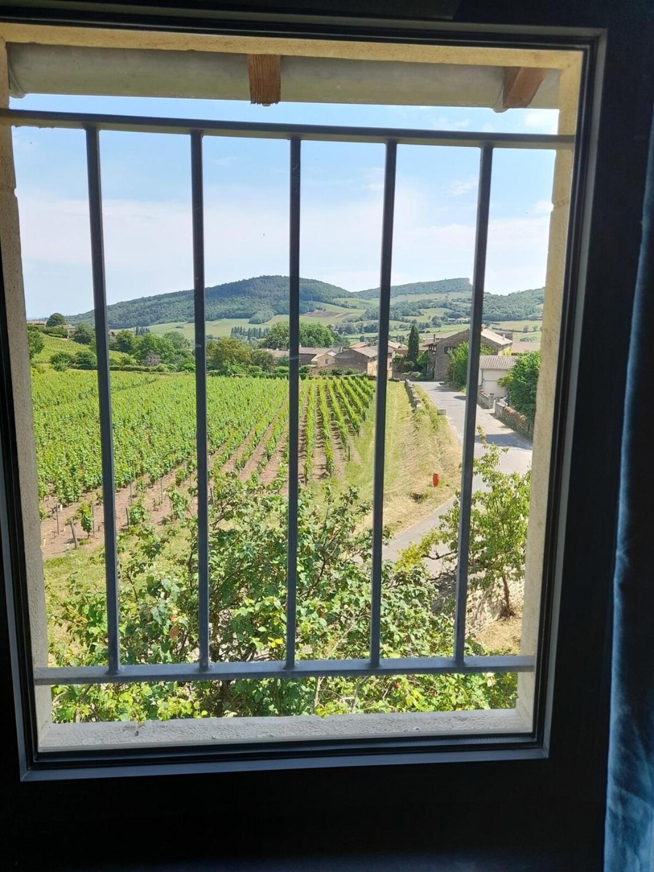 At The End Of The World -Bussires Burgundy Villa Bussieres  Bagian luar foto