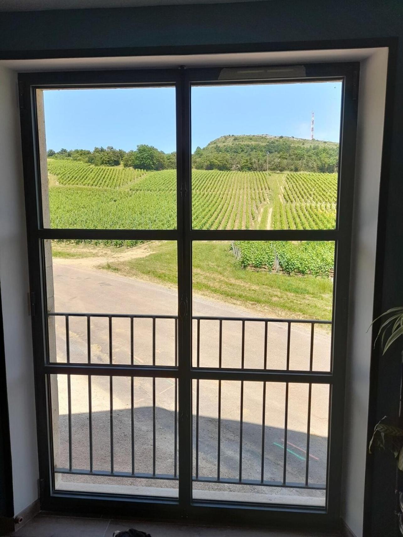 At The End Of The World -Bussires Burgundy Villa Bussieres  Bagian luar foto